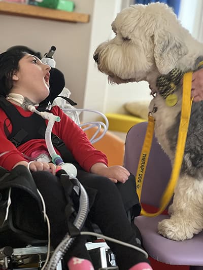 Lifelites 25 winner - Ryegate House image